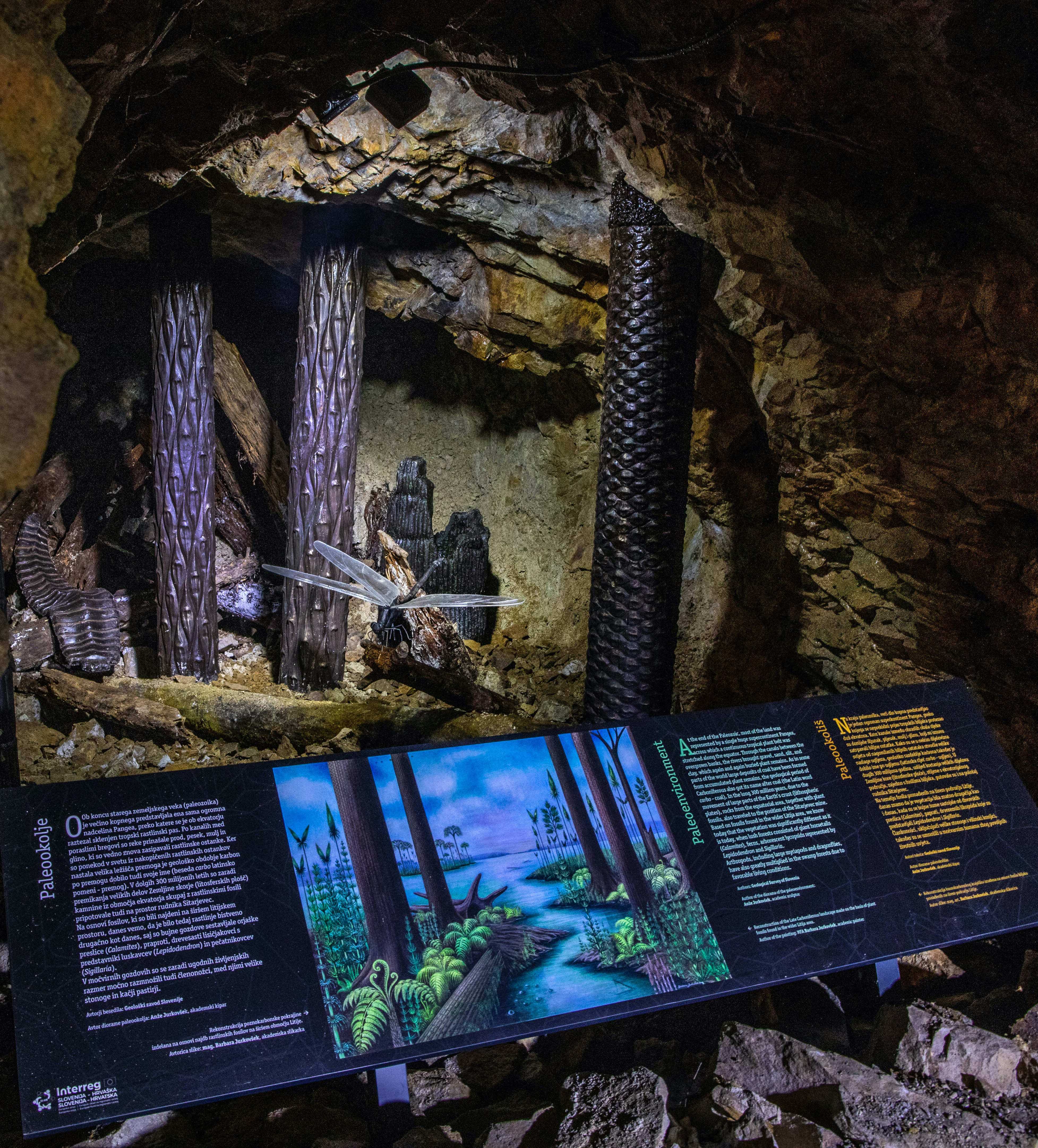 Rekonstrukcija in interpretacija paleokolja v litijskem rudniku