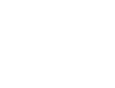TIC Litija logo